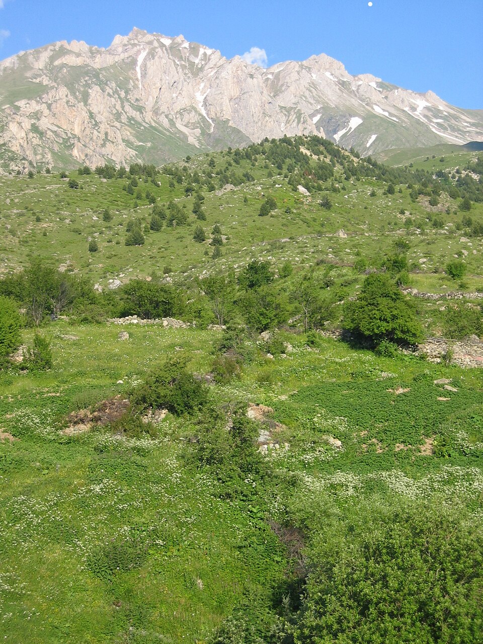 Korab.jpg